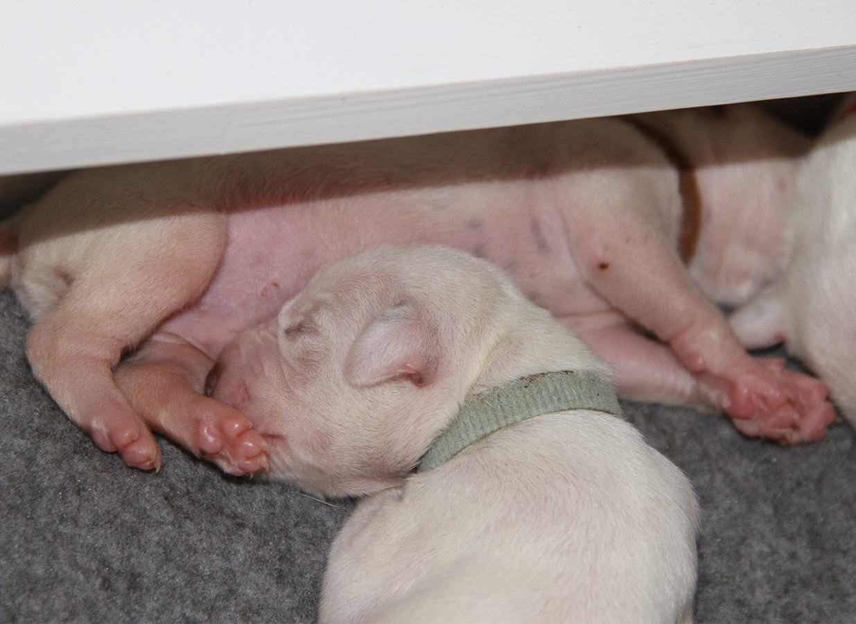 Nachwuchs am 11.08.2019