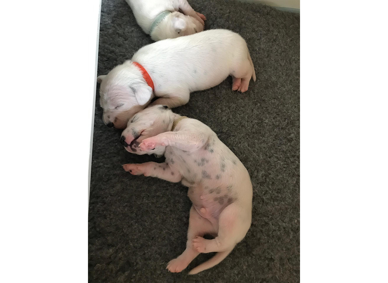 Nachwuchs am 16.08.2019