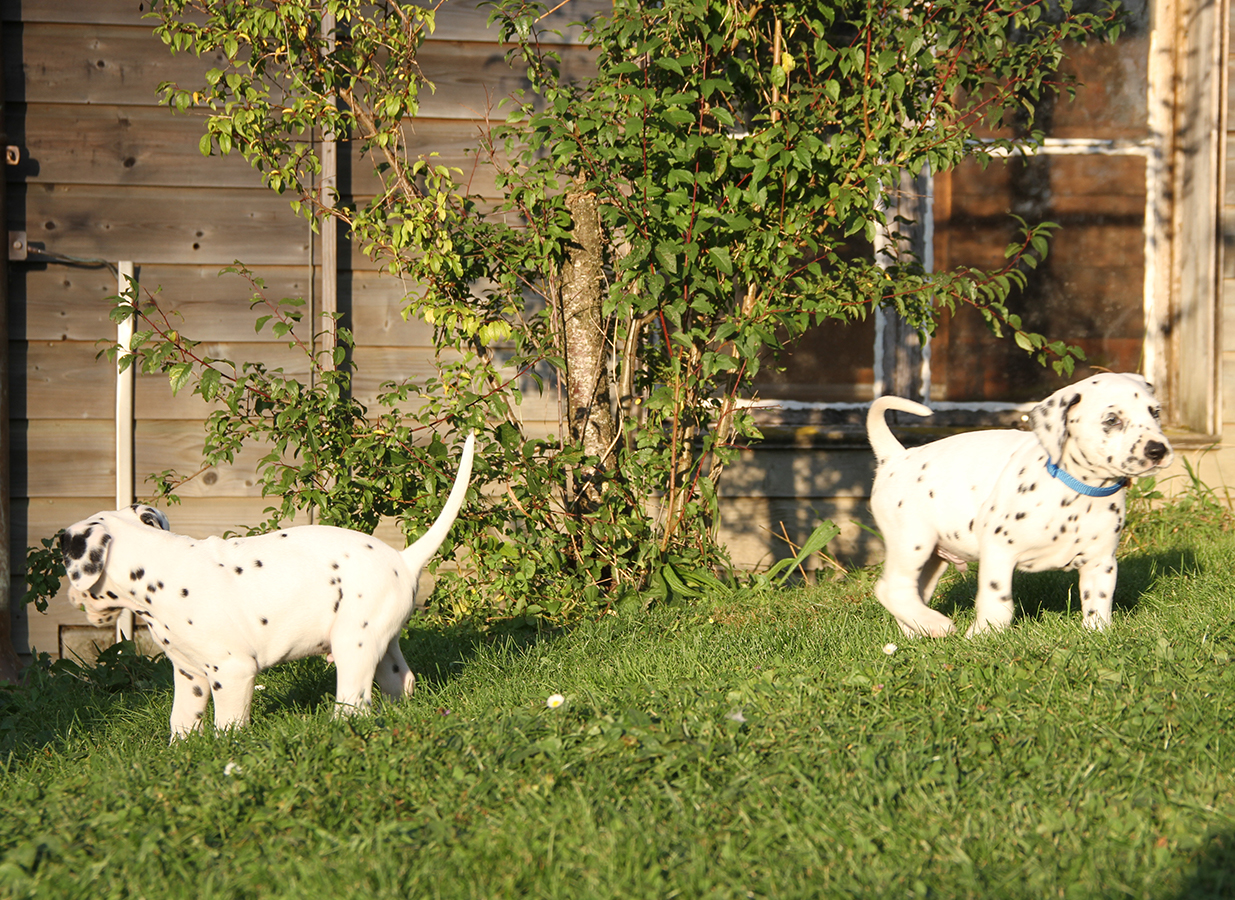 Nachwuchs am 18.09.2019