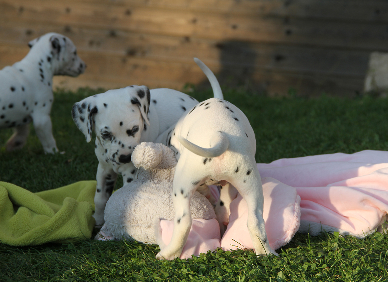 Nachwuchs am 18.09.2019