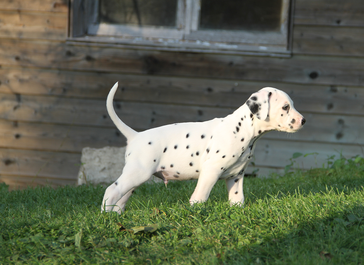 Nachwuchs am 18.09.2019