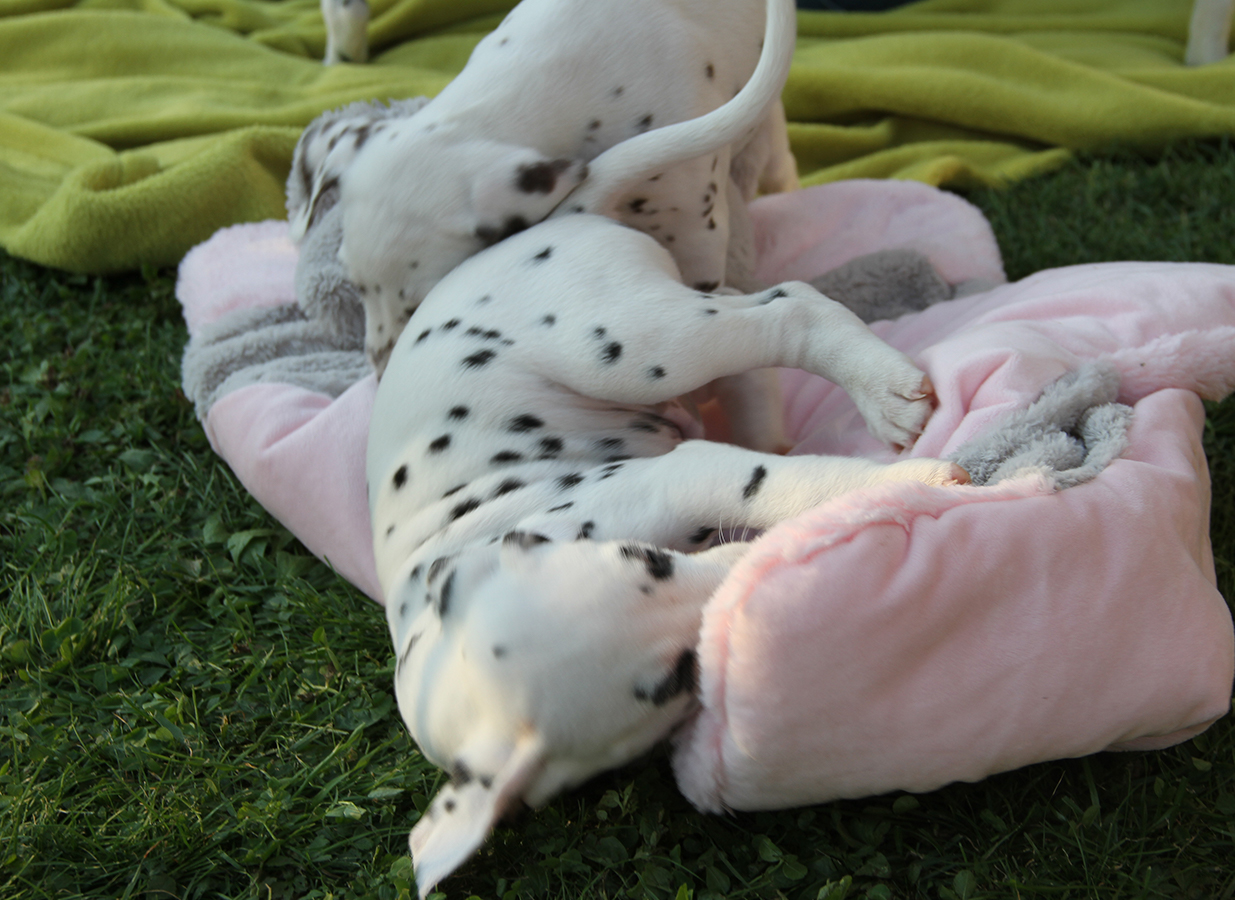 Nachwuchs am 18.09.2019