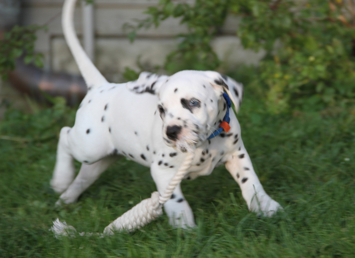 Nachwuchs am 18.09.2019