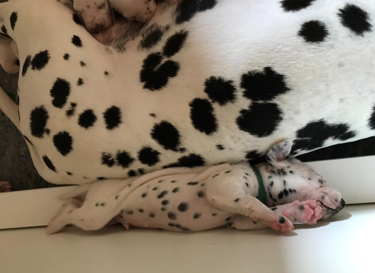 Nachwuchs am 27.08.2019