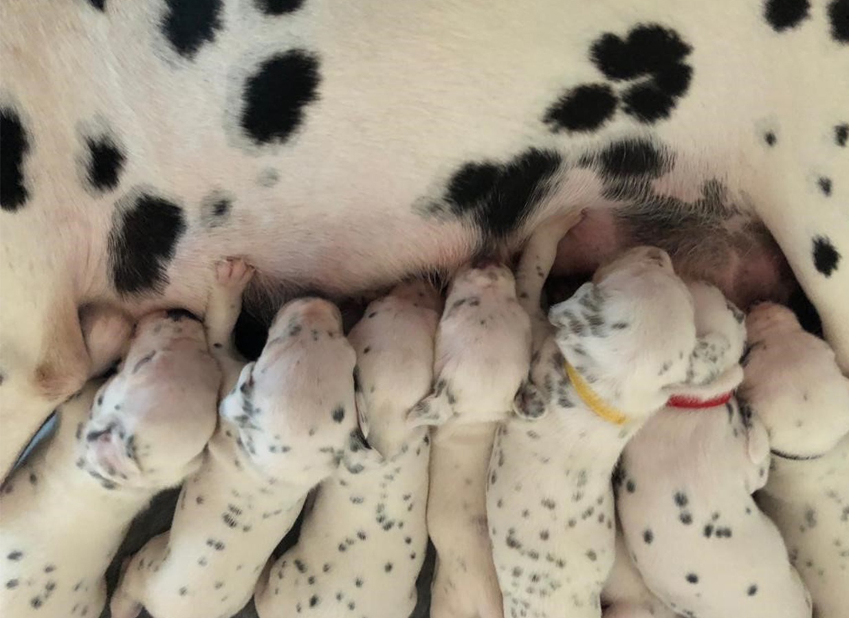 Nachwuchs am 27.08.2019