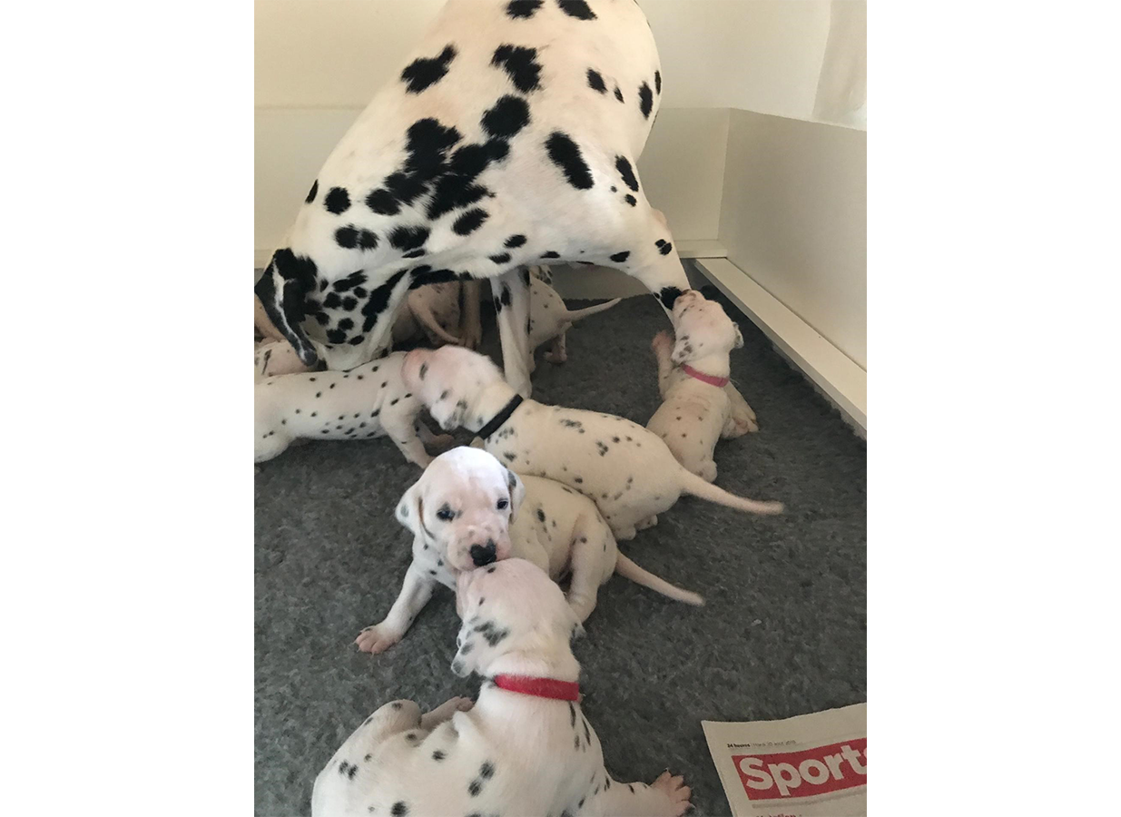 Nachwuchs am 27.08.2019