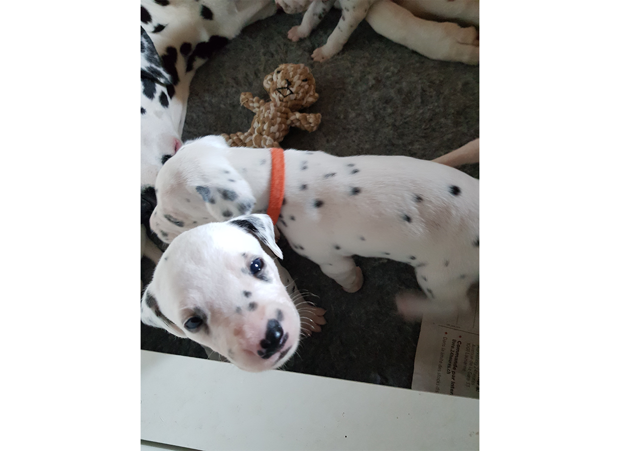 Nachwuchs am 30.08.2019